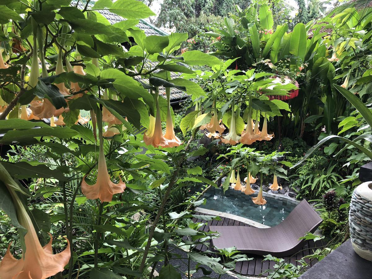 Hotel White Lotus Oasis Ubud Exterior foto